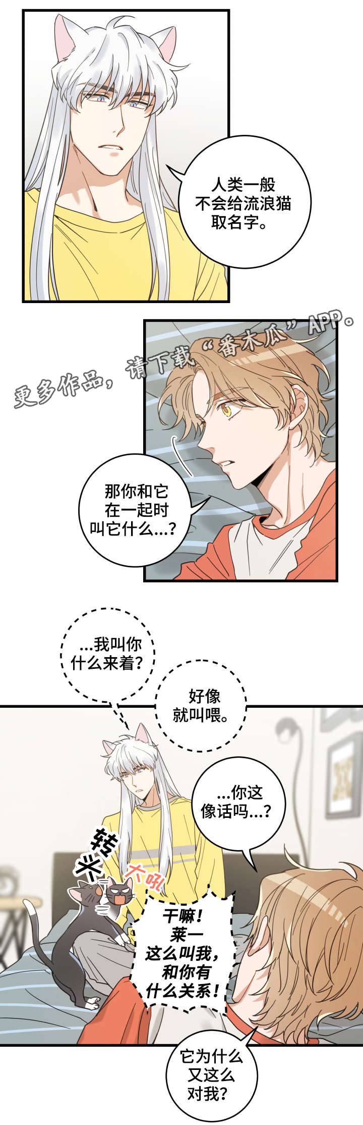 亲爱的喵君漫画,第42章：臭猫2图