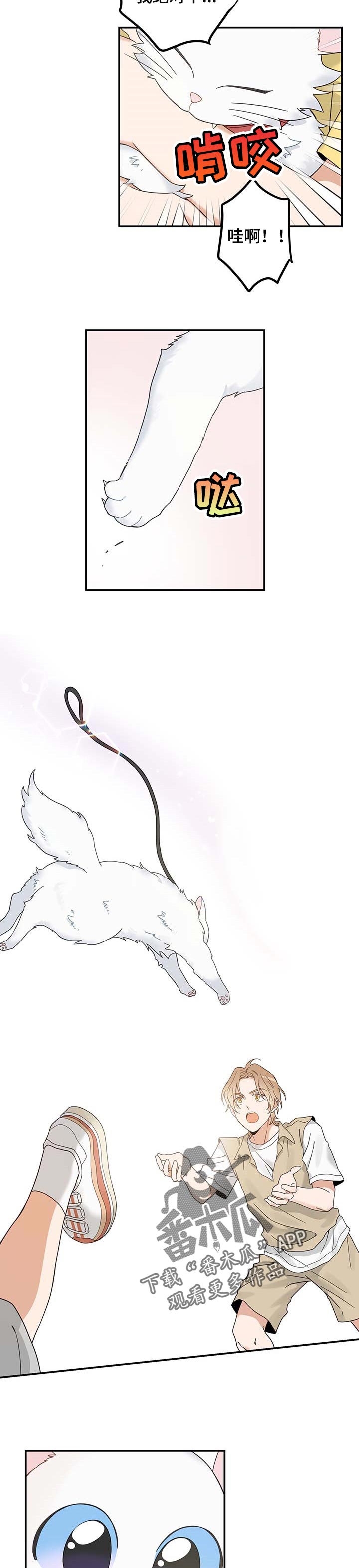 亲爱的喵君漫画,第111章：重逢3图