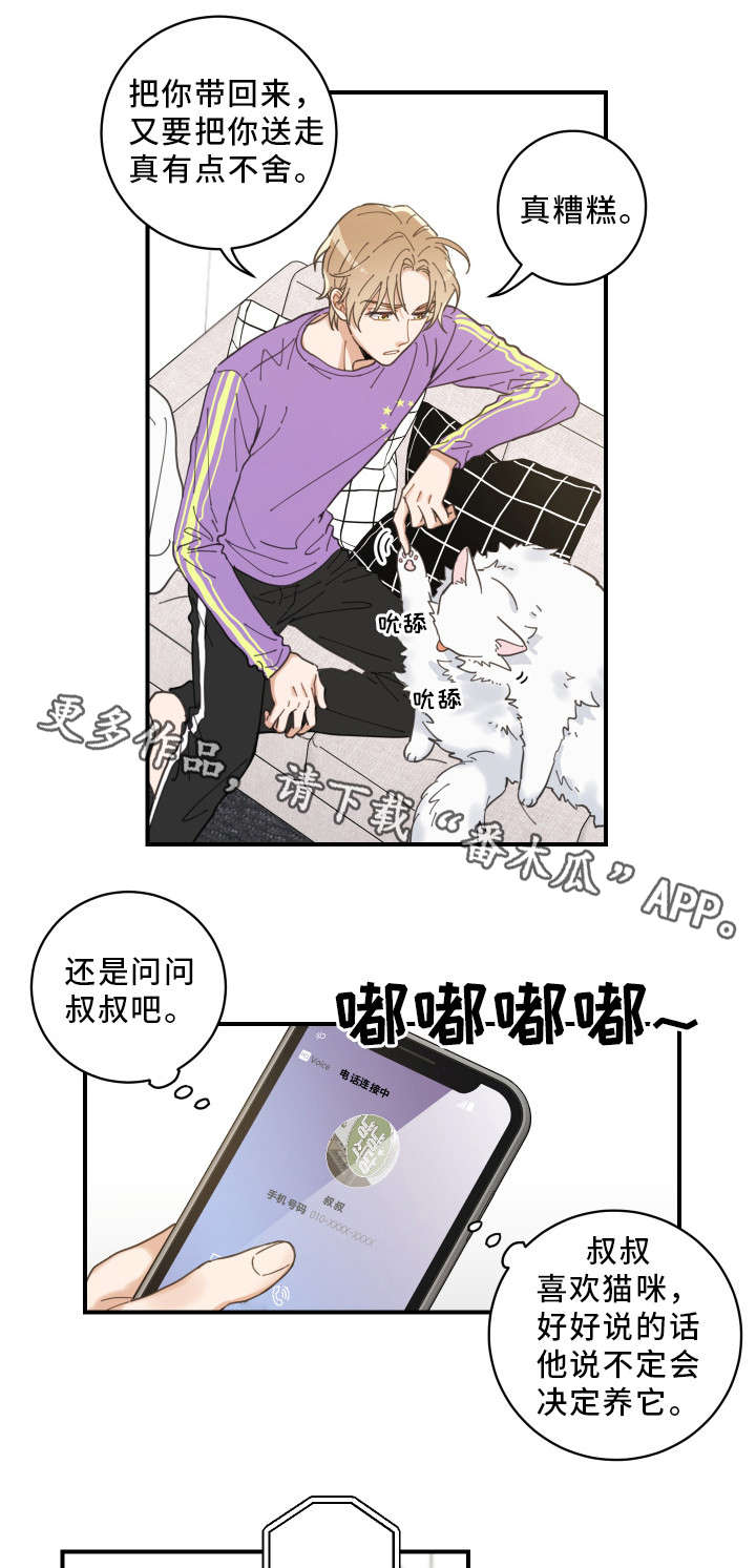 亲爱的喵君漫画,第4章：我要呆在这4图