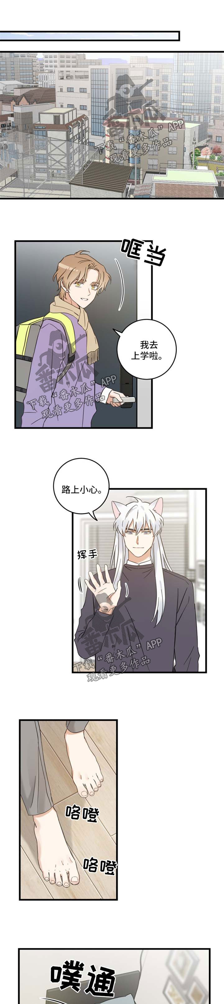 亲爱的喵君漫画,第79章：串门1图