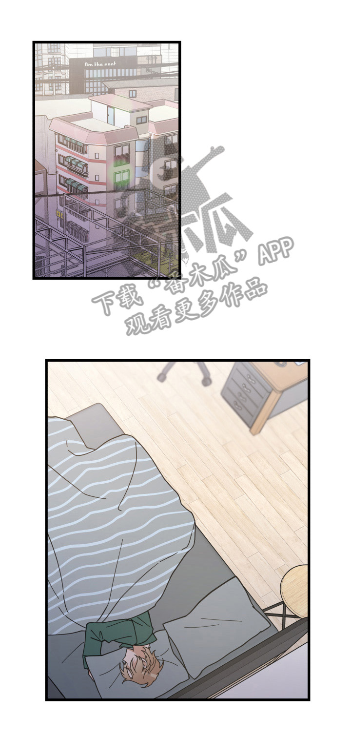 亲爱的喵君漫画,第61章：叫门1图