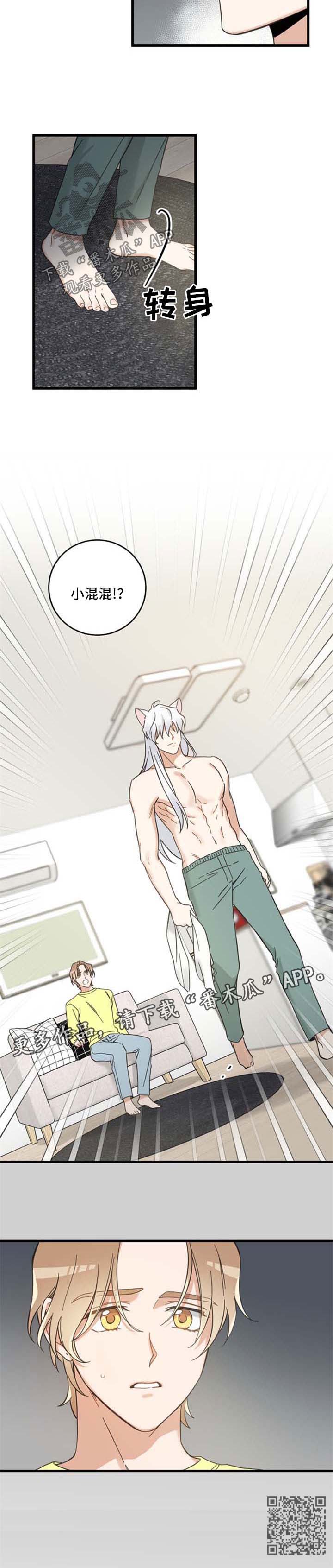 亲爱的喵君漫画,第95章：不行4图