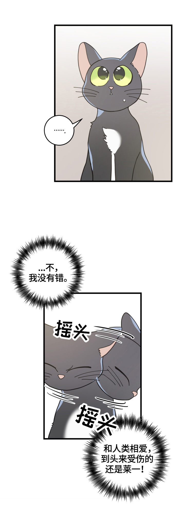 亲爱的喵君漫画,第60章：悲剧2图
