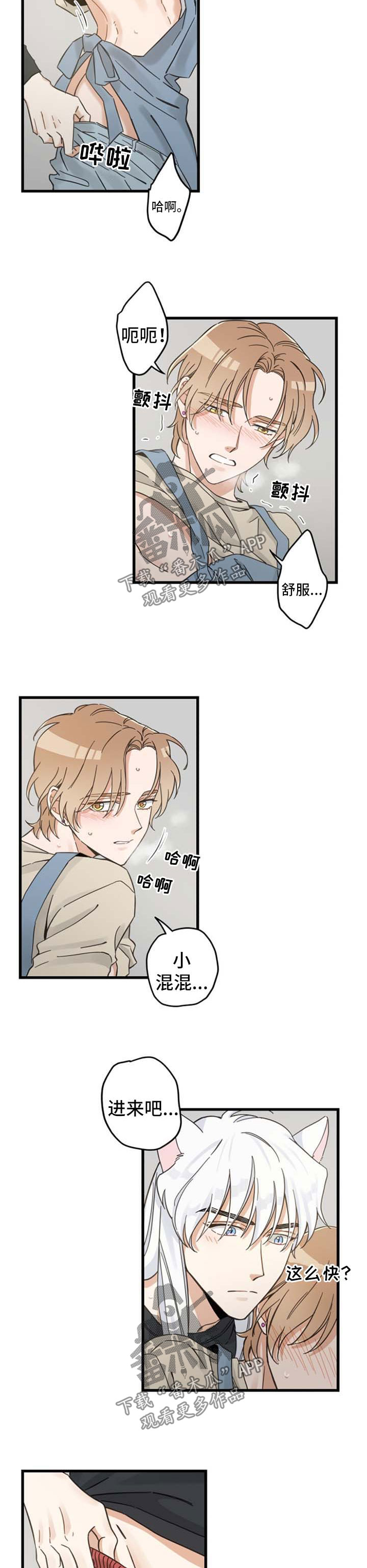 亲爱的喵君漫画,第93章：爱情事业双丰收1图