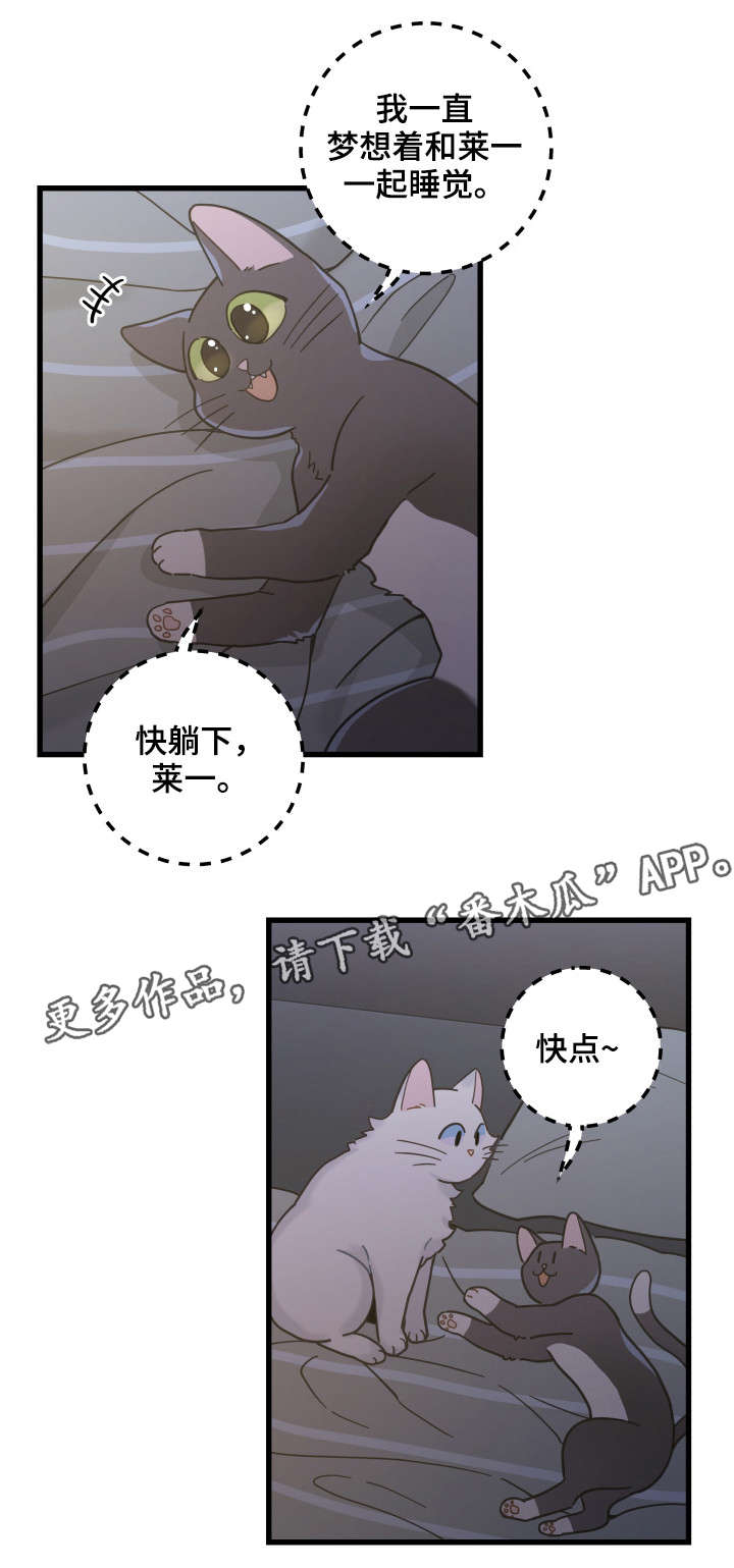 亲爱的喵君漫画,第39章：你别走5图