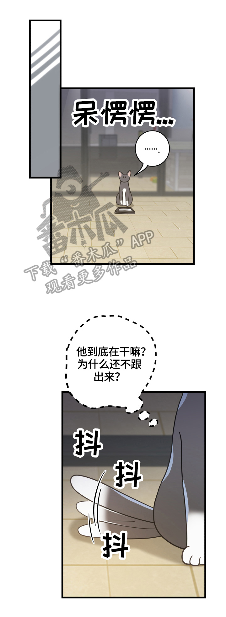 亲爱的喵君漫画,第57章：引出3图