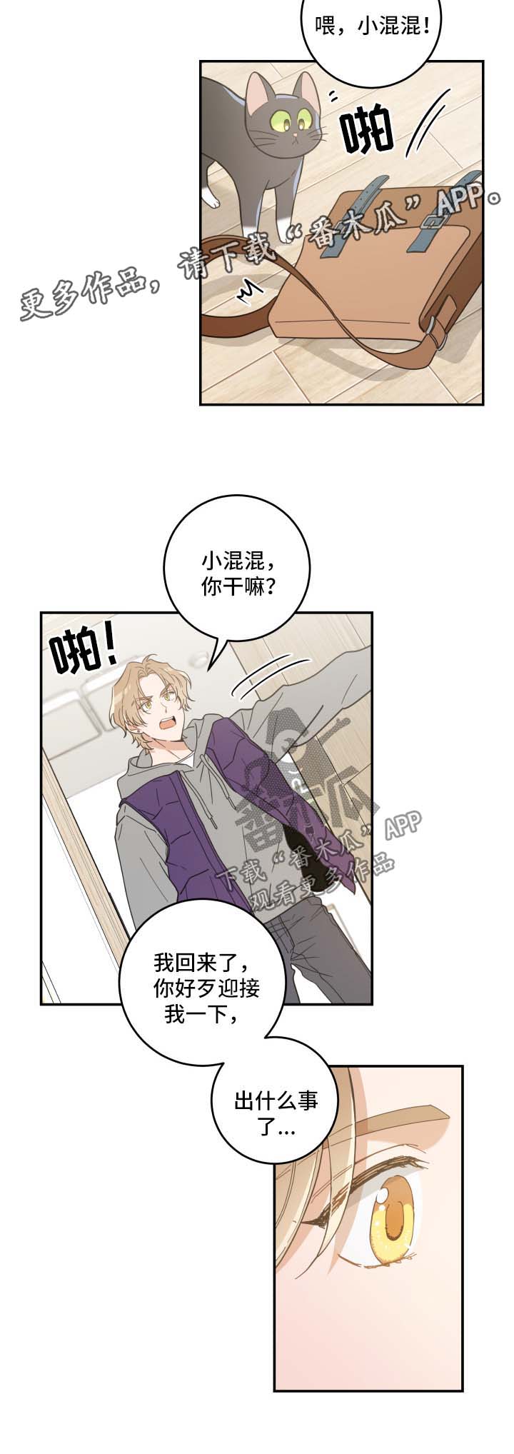 亲爱的喵君漫画,第44章：快乐生活2图