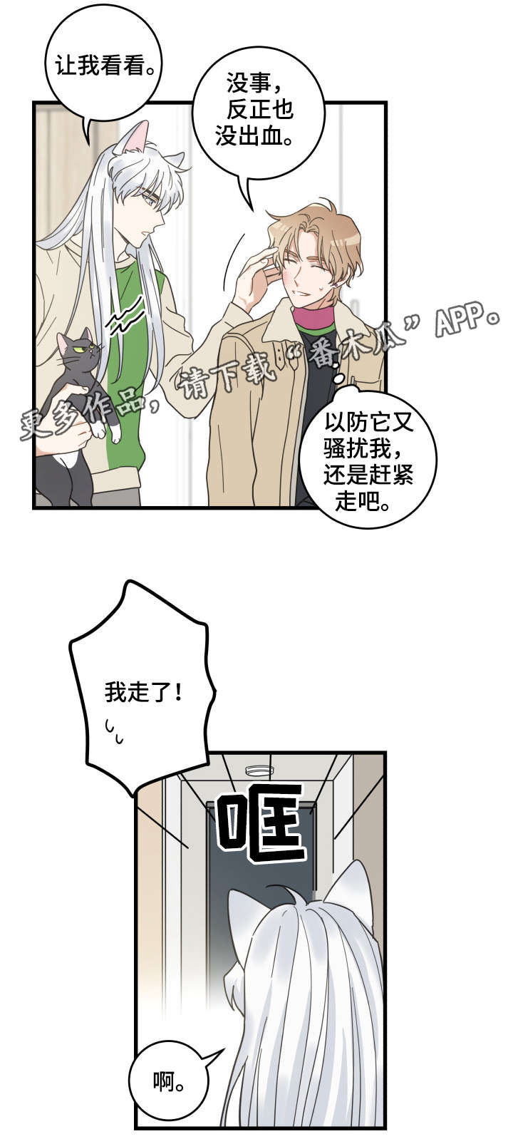 亲爱的喵君漫画,第40章：决心2图