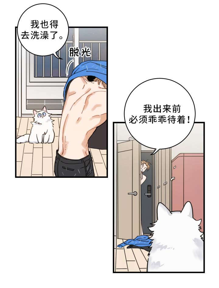 亲爱的喵君漫画,第2章：白猫3图