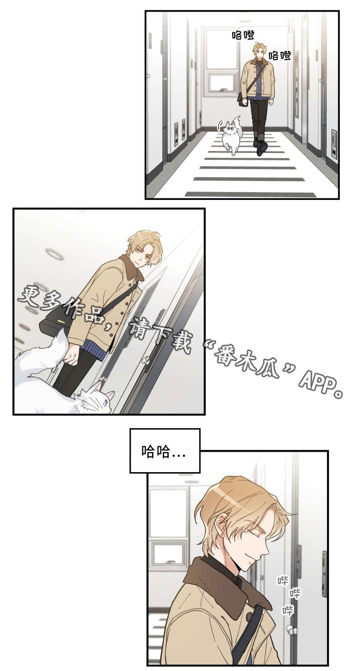 亲爱的喵君漫画,第10章：负责到底2图