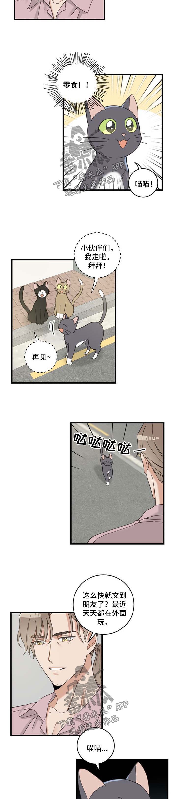 亲爱的喵君漫画,第94章：忧愁1图