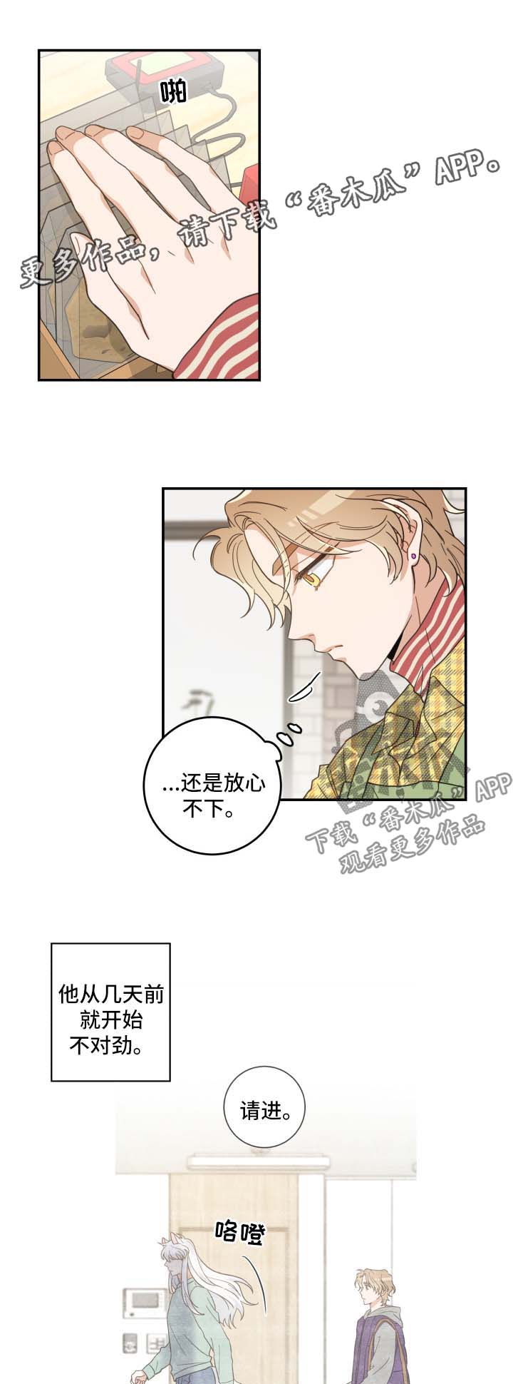 亲爱的喵君漫画,第46章：不能一起2图