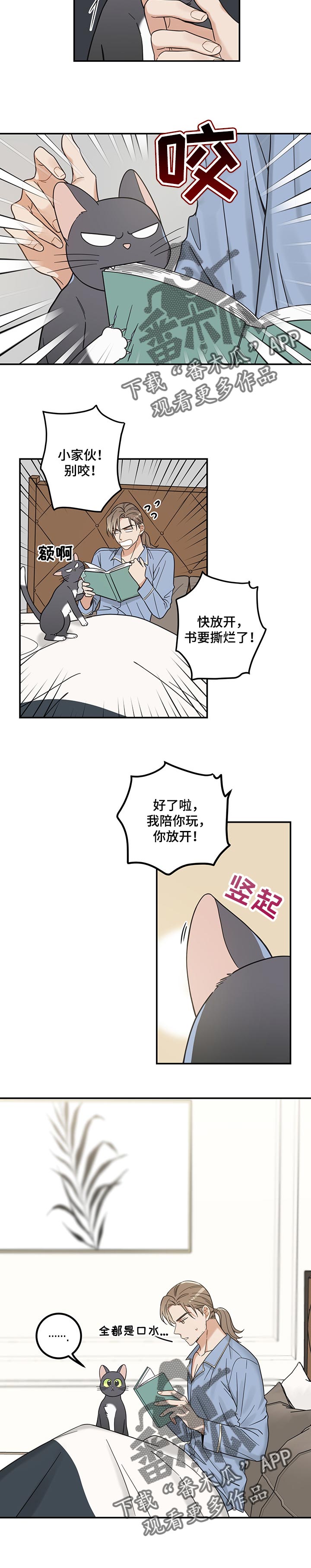 亲爱的喵君漫画,第101章：捣乱4图