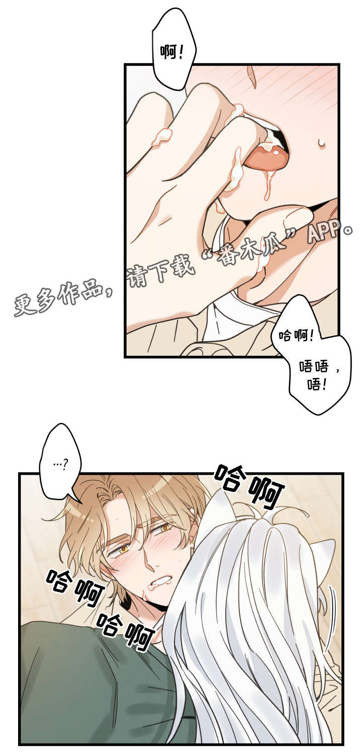 亲爱的喵君漫画,第29章：不能浪费4图