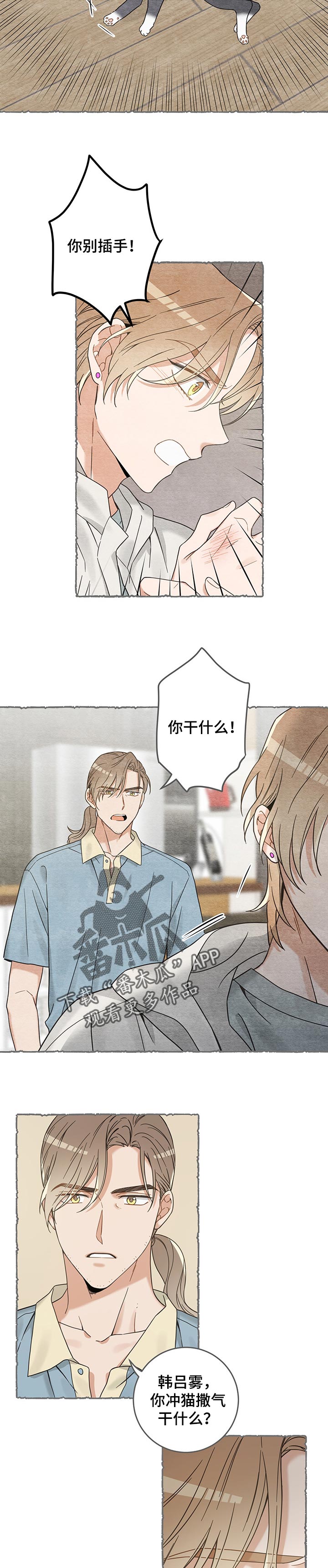 亲爱的喵君漫画,第102章：撒气3图