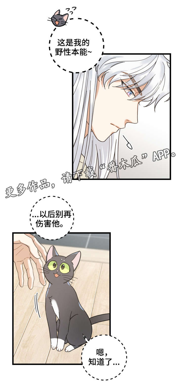 亲爱的喵君漫画,第41章：本能1图