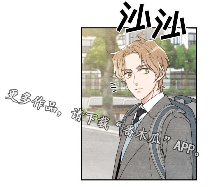 亲爱的喵君漫画,第16章：白猫莱一4图