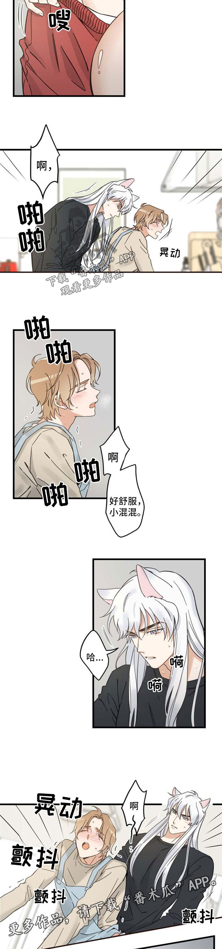 亲爱的喵君漫画,第93章：爱情事业双丰收2图