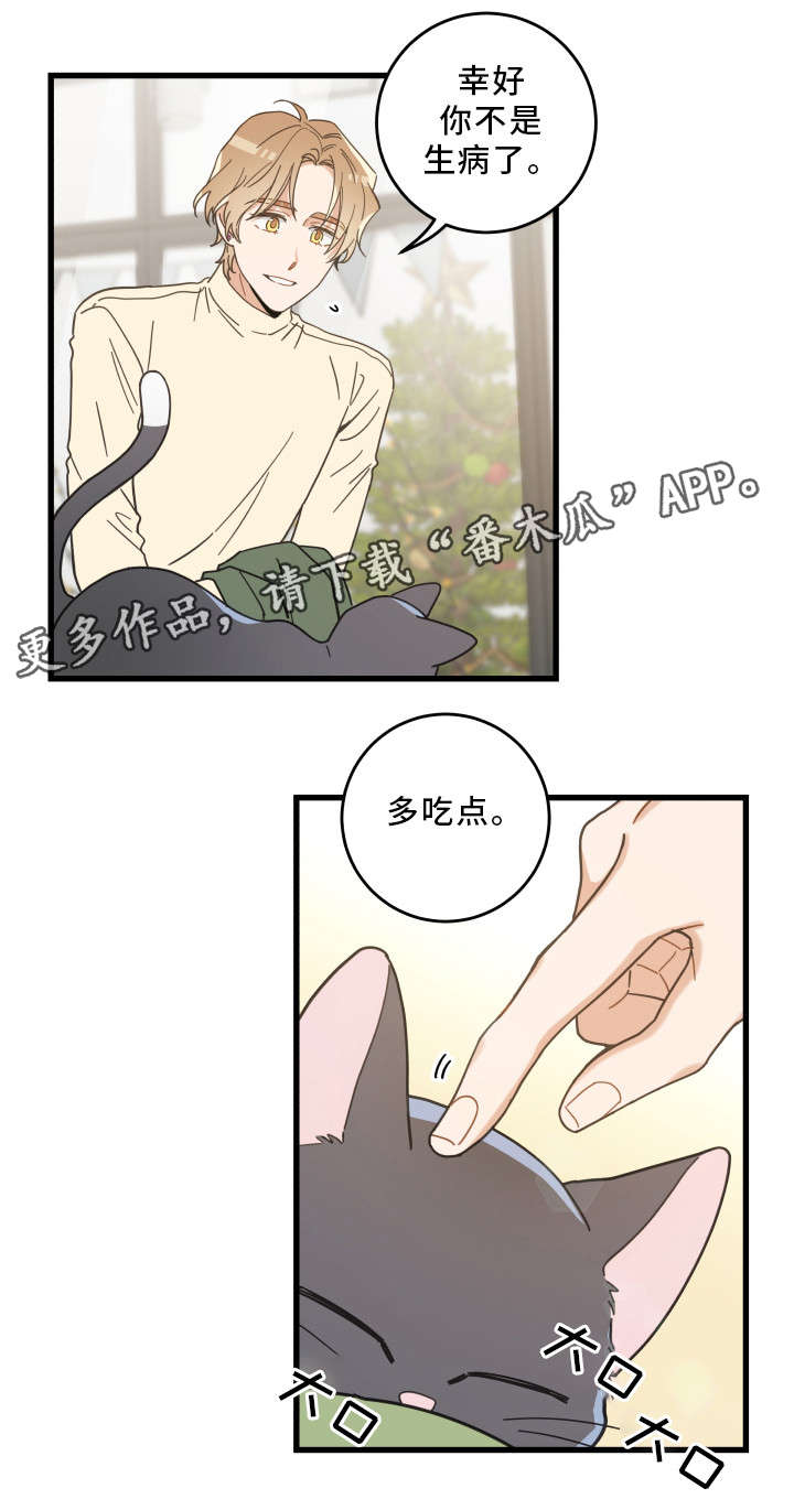 亲爱的喵君漫画,第33章：好想你5图