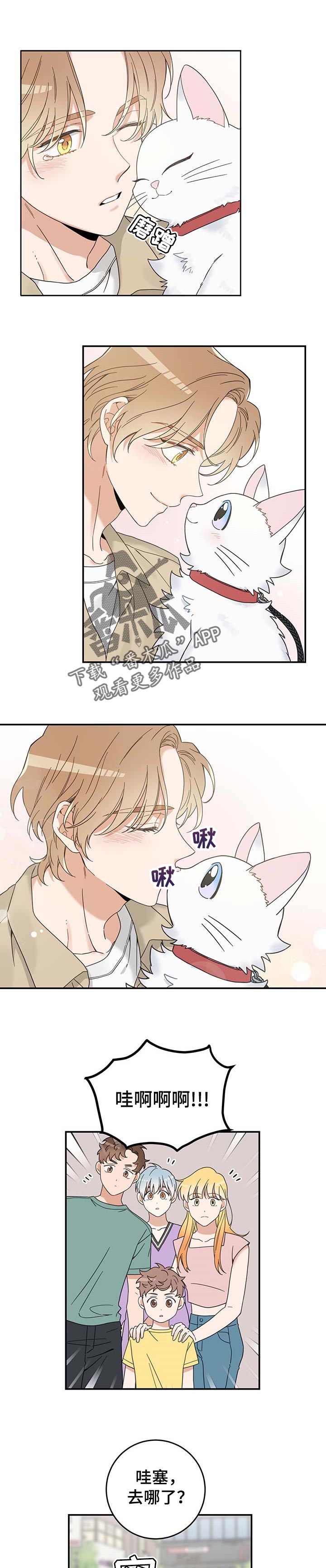 亲爱的喵君漫画,第112章：不要再乱跑了1图