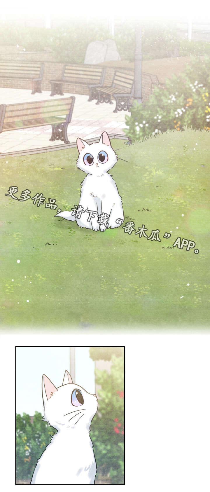 亲爱的喵君漫画,第16章：白猫莱一1图