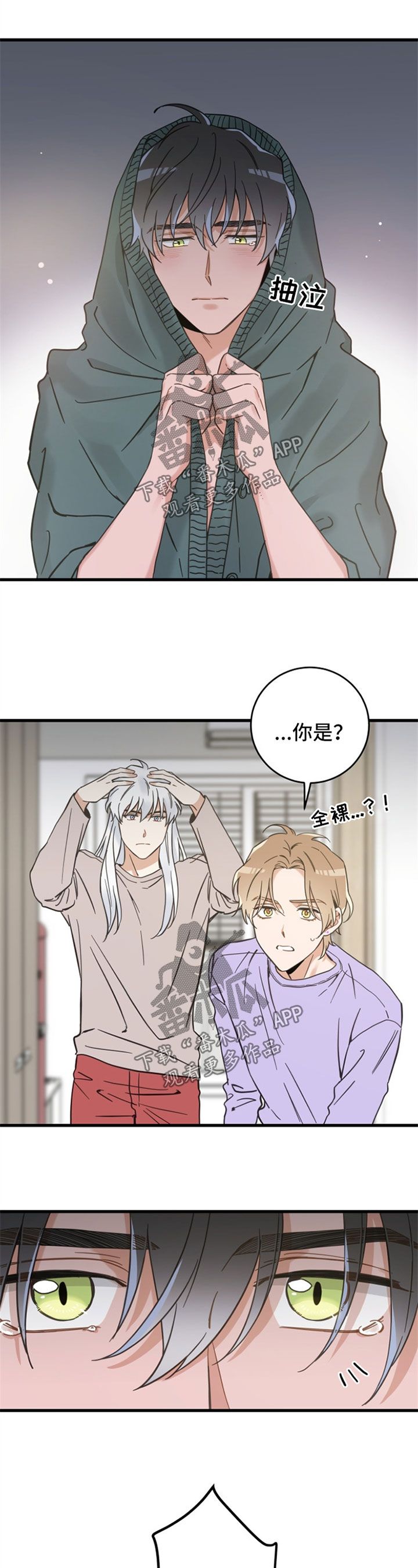 亲爱的喵君漫画,第85章：打扰好事1图