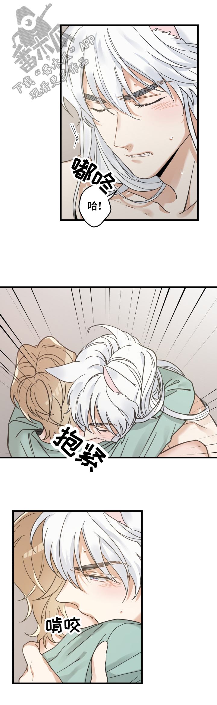 亲爱的喵君漫画,第66章：回忆4图