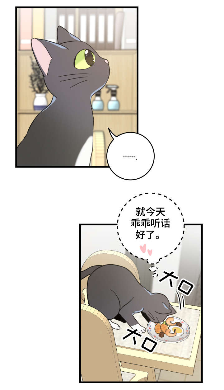 亲爱的喵君漫画,第43章：叔叔5图