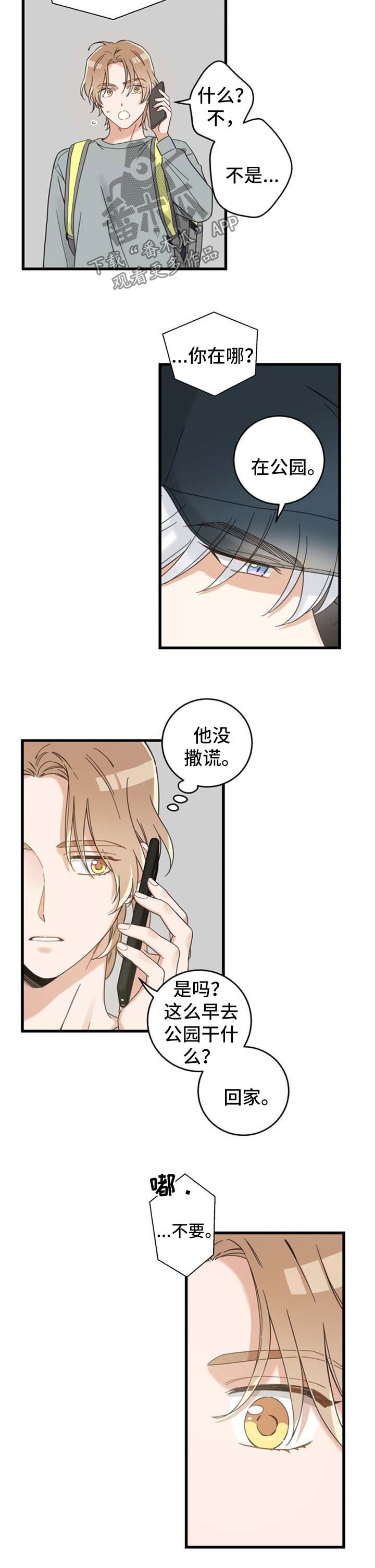 亲爱的喵君漫画,第98章：跟踪3图