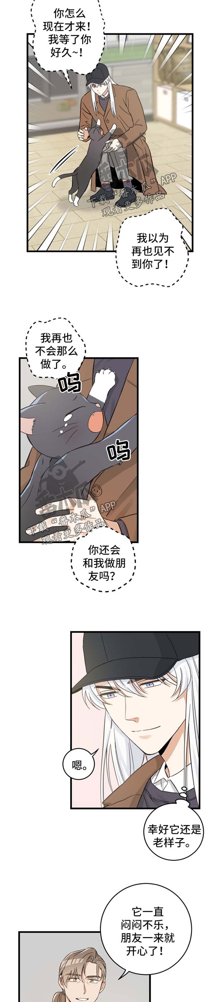 亲爱的喵君漫画,第79章：串门4图