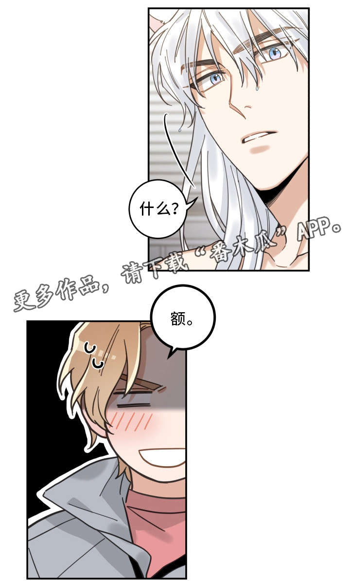 亲爱的喵君漫画,第19章：脱口而出4图