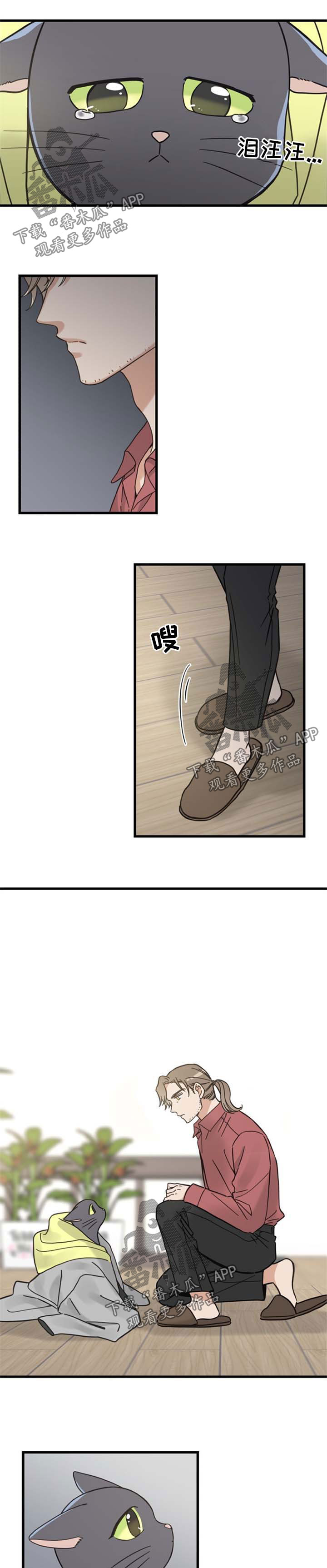 亲爱的喵君漫画,第87章：不放弃1图