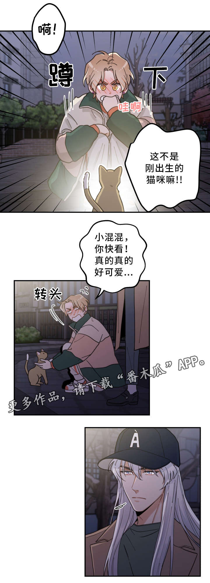 亲爱的喵君漫画,第15章：抓伤2图