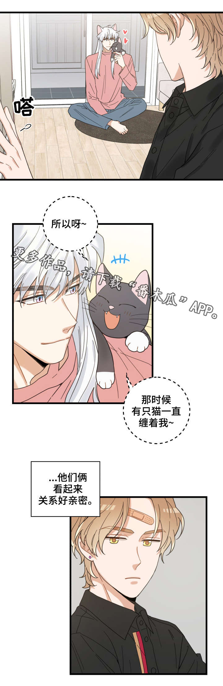 亲爱的喵君漫画,第37章：试探5图