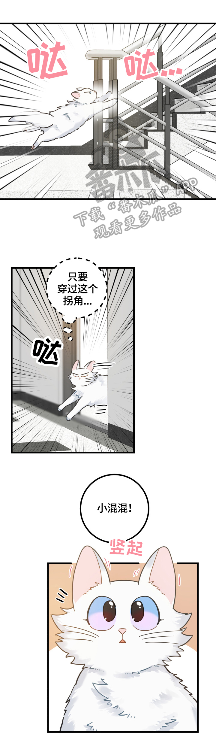 亲爱的喵君漫画,第65章：忍不了1图