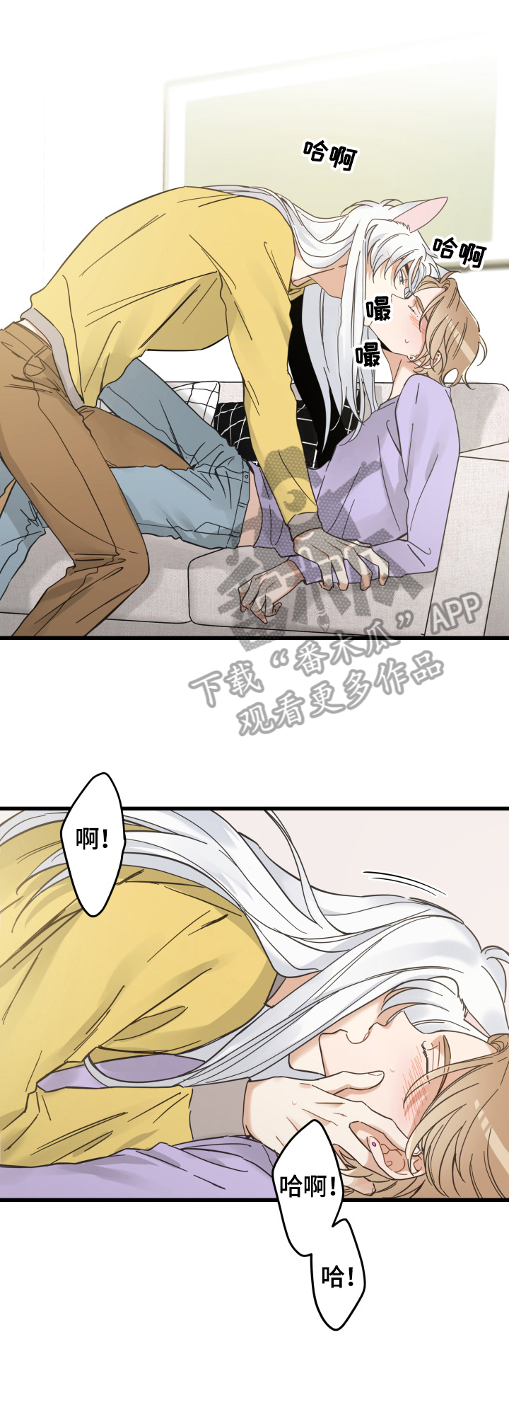 亲爱的喵君漫画,第71章：原谅4图