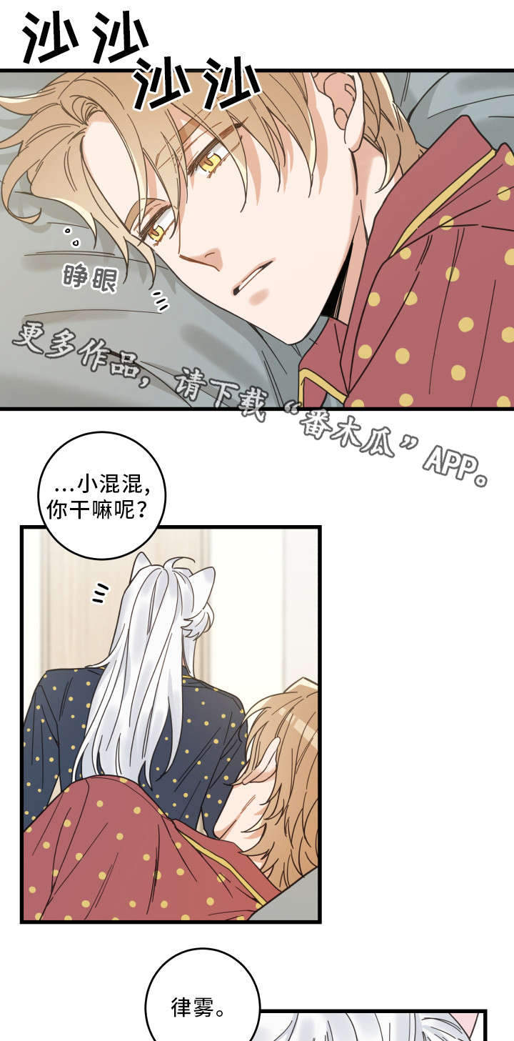 亲爱的喵君漫画,第30章：最好的礼物2图