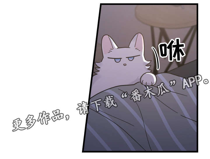 亲爱的喵君漫画,第38章：打扰2图
