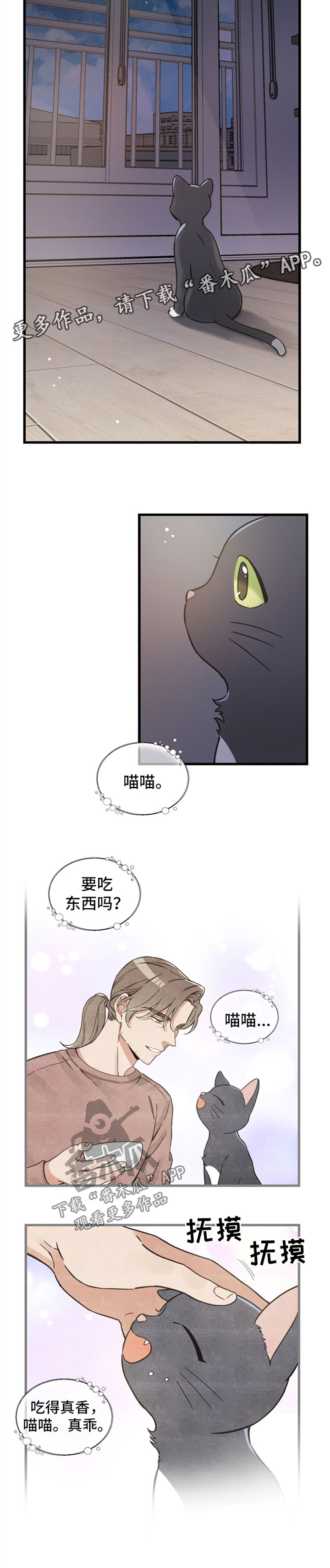 亲爱的喵君漫画,第82章：想要回家1图