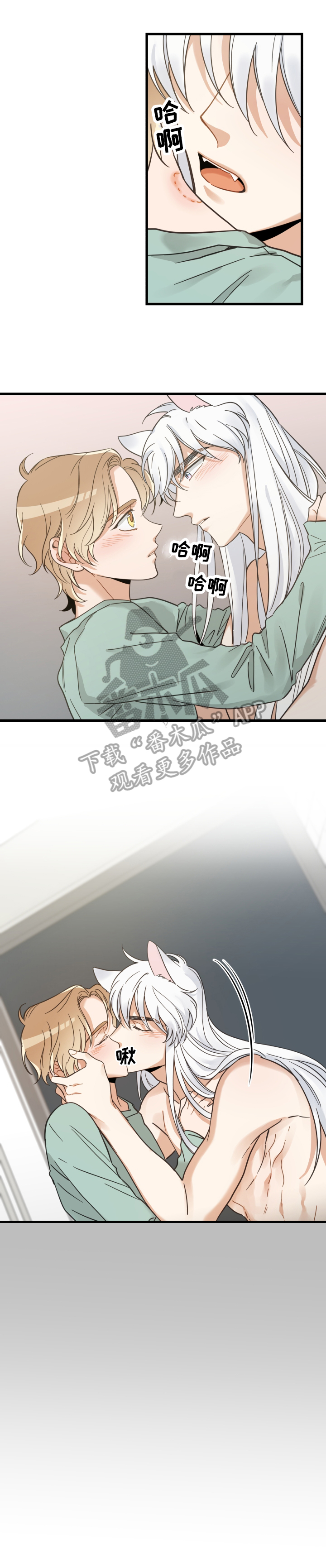 亲爱的喵君漫画,第66章：回忆5图