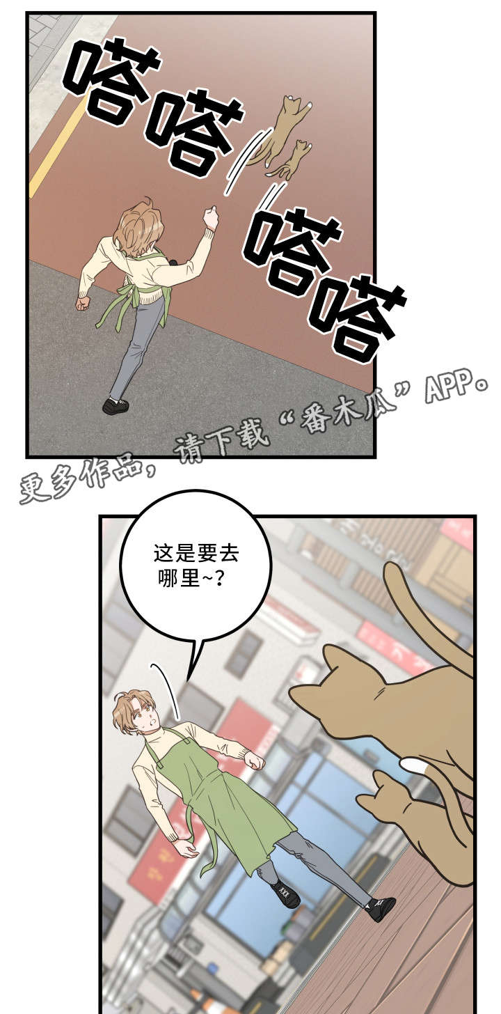 亲爱的喵君漫画,第32章：晕倒5图
