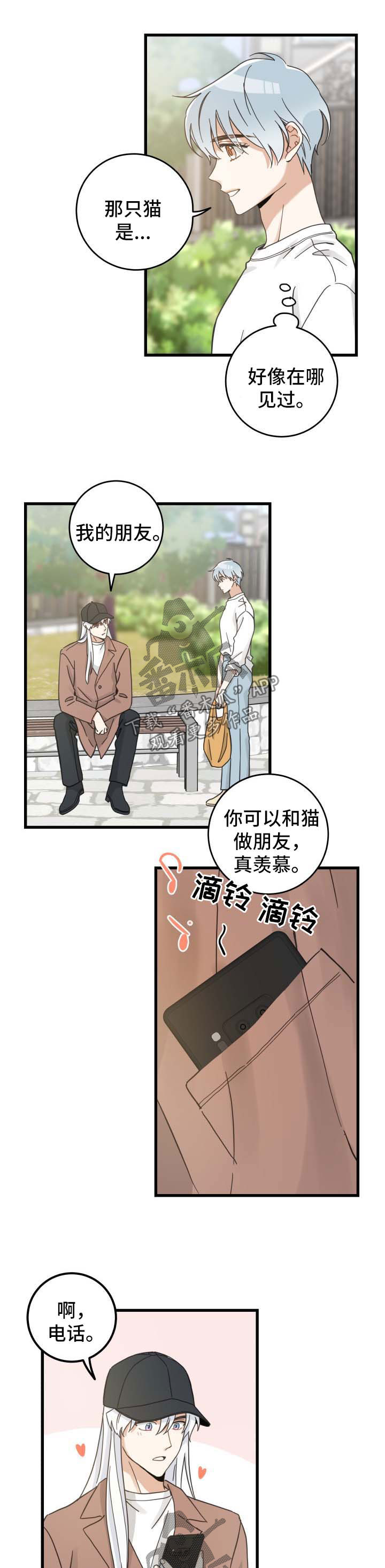 亲爱的喵君漫画,第91章：偶遇5图