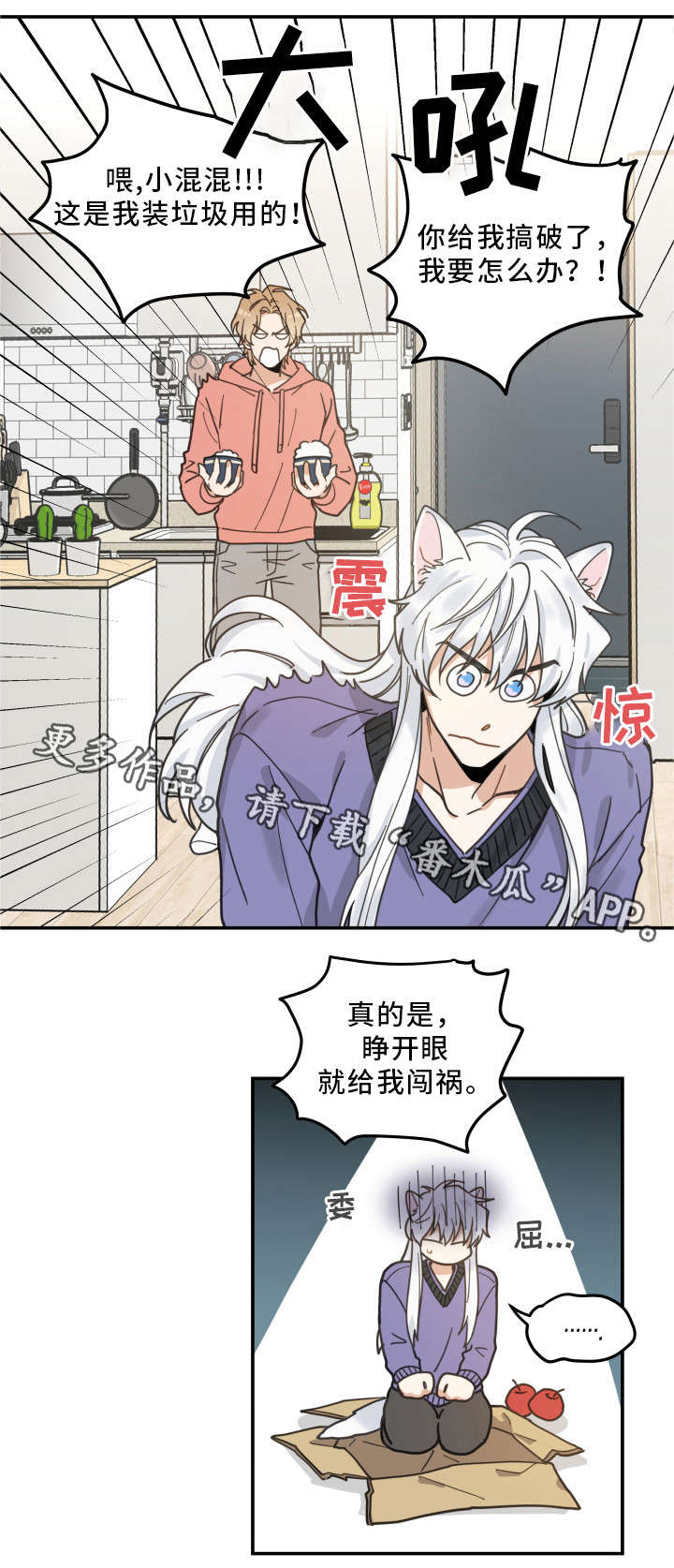亲爱的喵君漫画,第11章：钻箱子5图