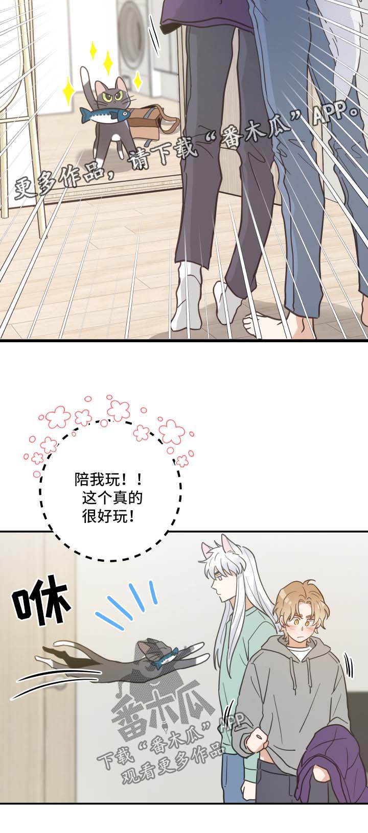 亲爱的喵君漫画,第45章：生气4图