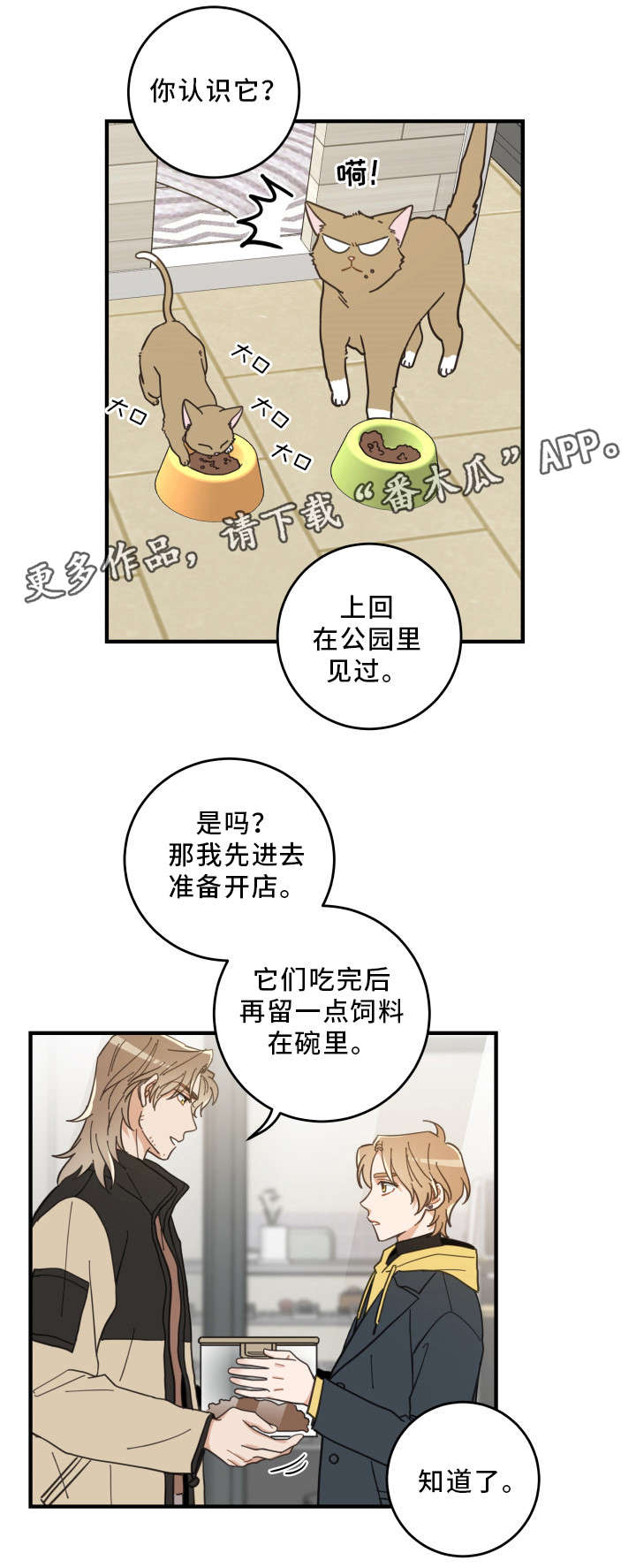 亲爱的喵君漫画,第23章：再遇3图