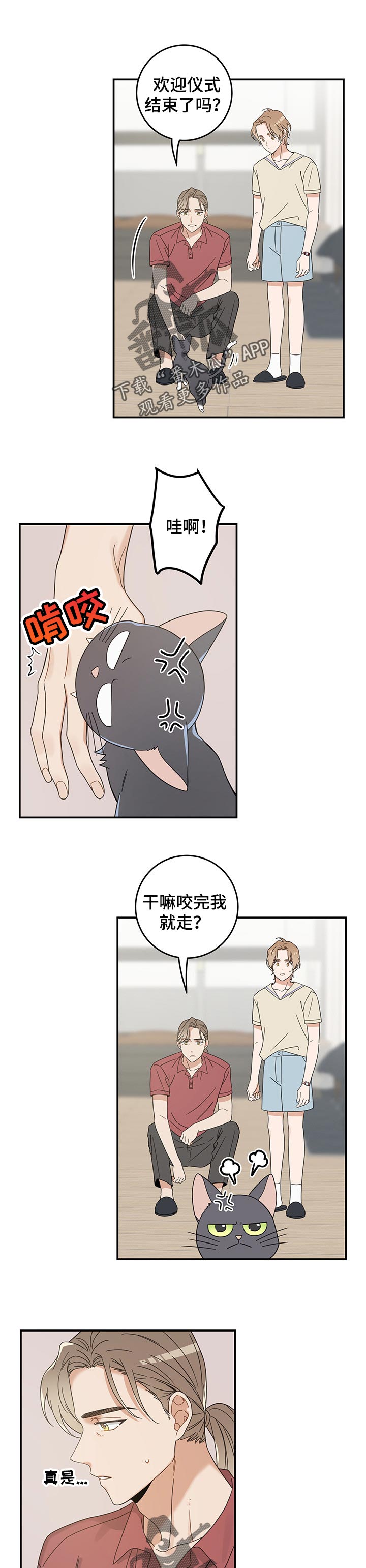 亲爱的喵君漫画,第116章：静待观察1图