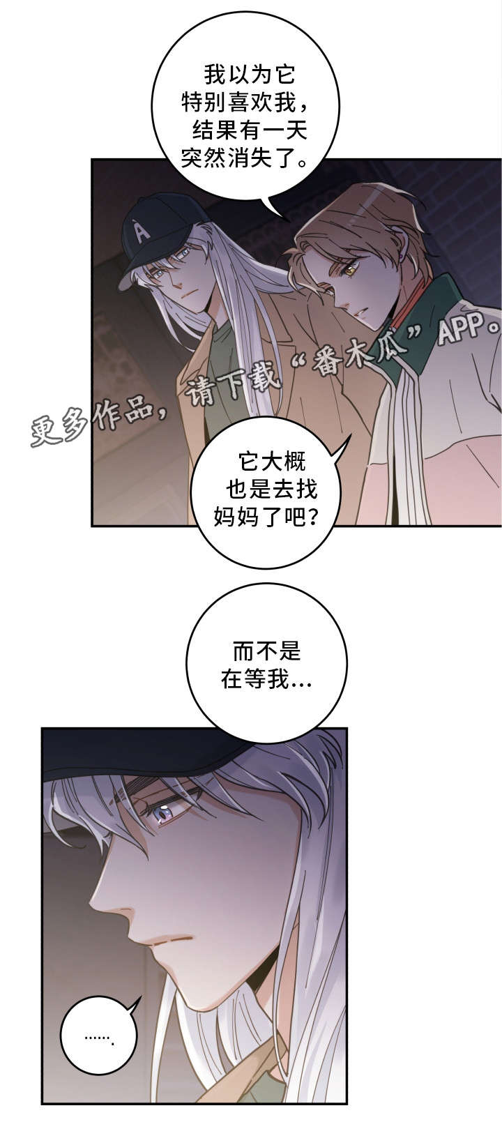 亲爱的喵君漫画,第16章：白猫莱一1图