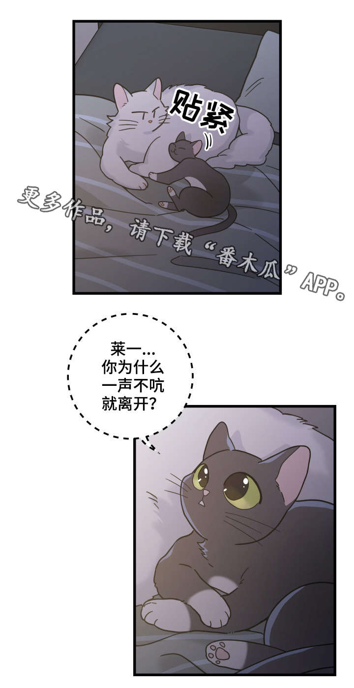 亲爱的喵君漫画,第39章：你别走2图