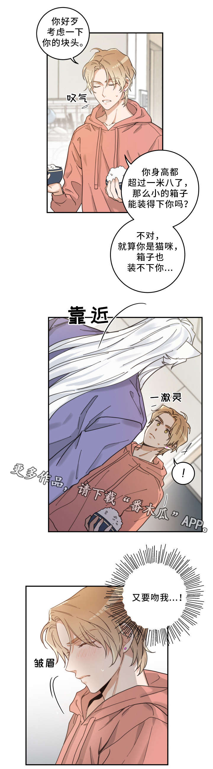 亲爱的喵君漫画,第11章：钻箱子1图