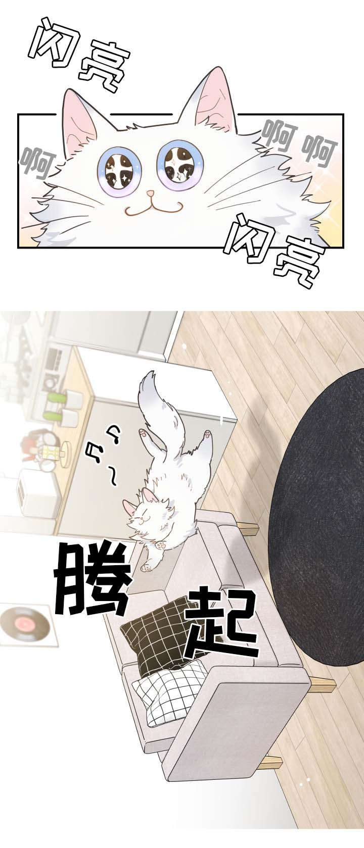 亲爱的喵君漫画,第2章：白猫5图
